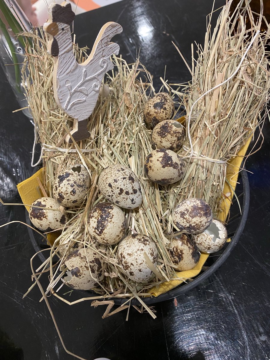 henry_henryk's tweet photo. Happy Easter! 🐣🐥 https://t.co/wzNbBE2OW8