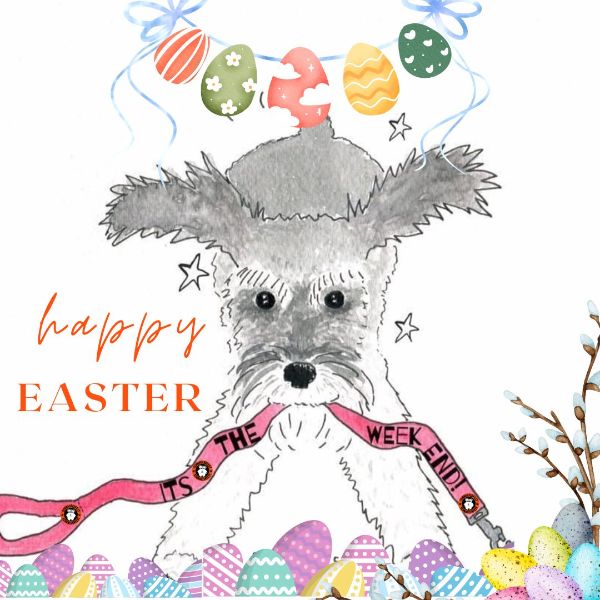 Happy Easter From Schnauzerfest - mailchi.mp/schnauzerfest/…