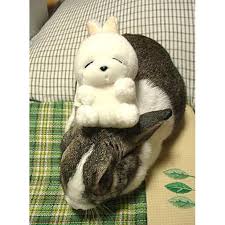 OolongOnSol's tweet photo. Don't forget Easter is a festival about revival https://t.co/ypeOBA0xnF