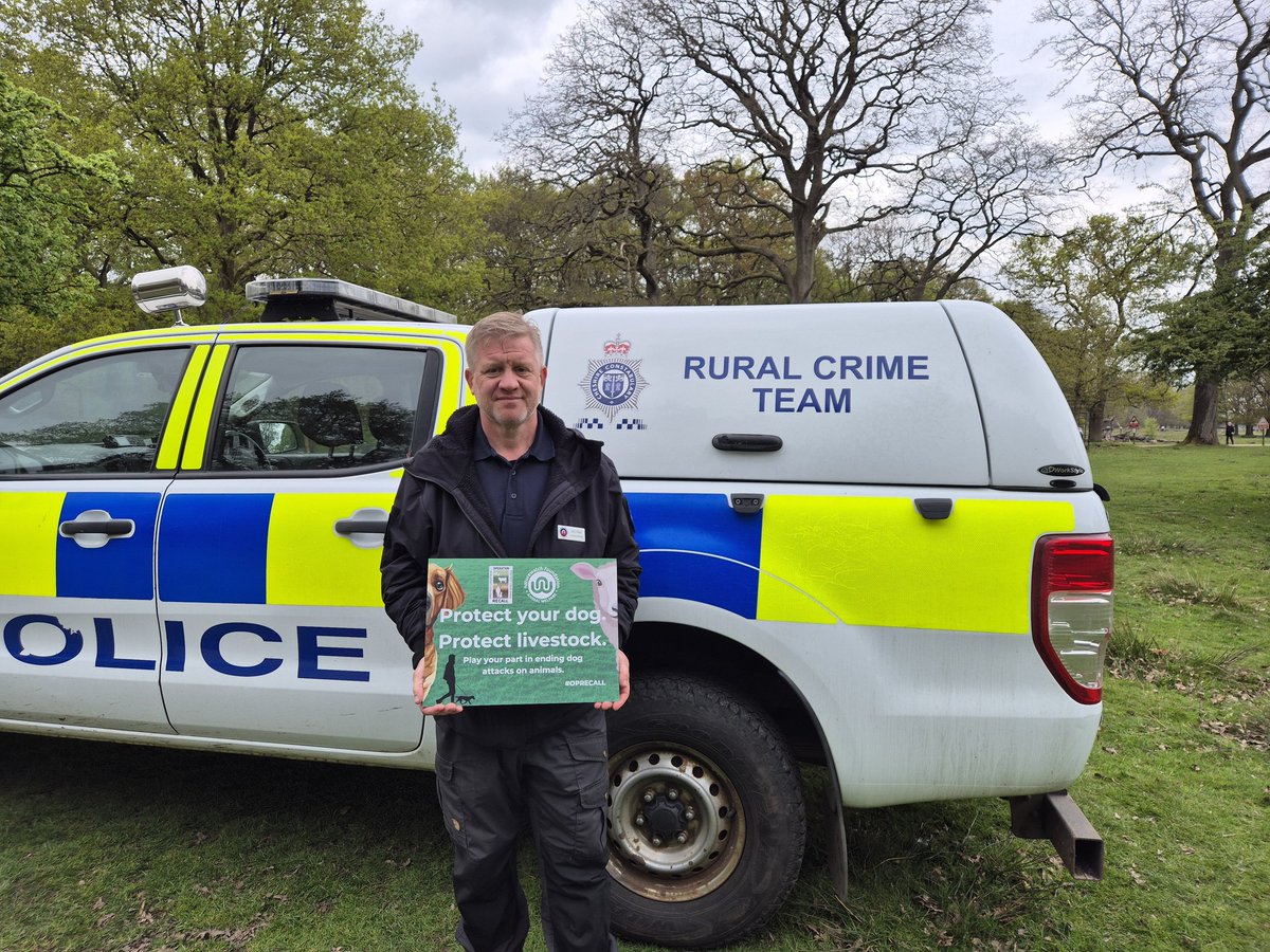 OPERATION RECALL tweet media