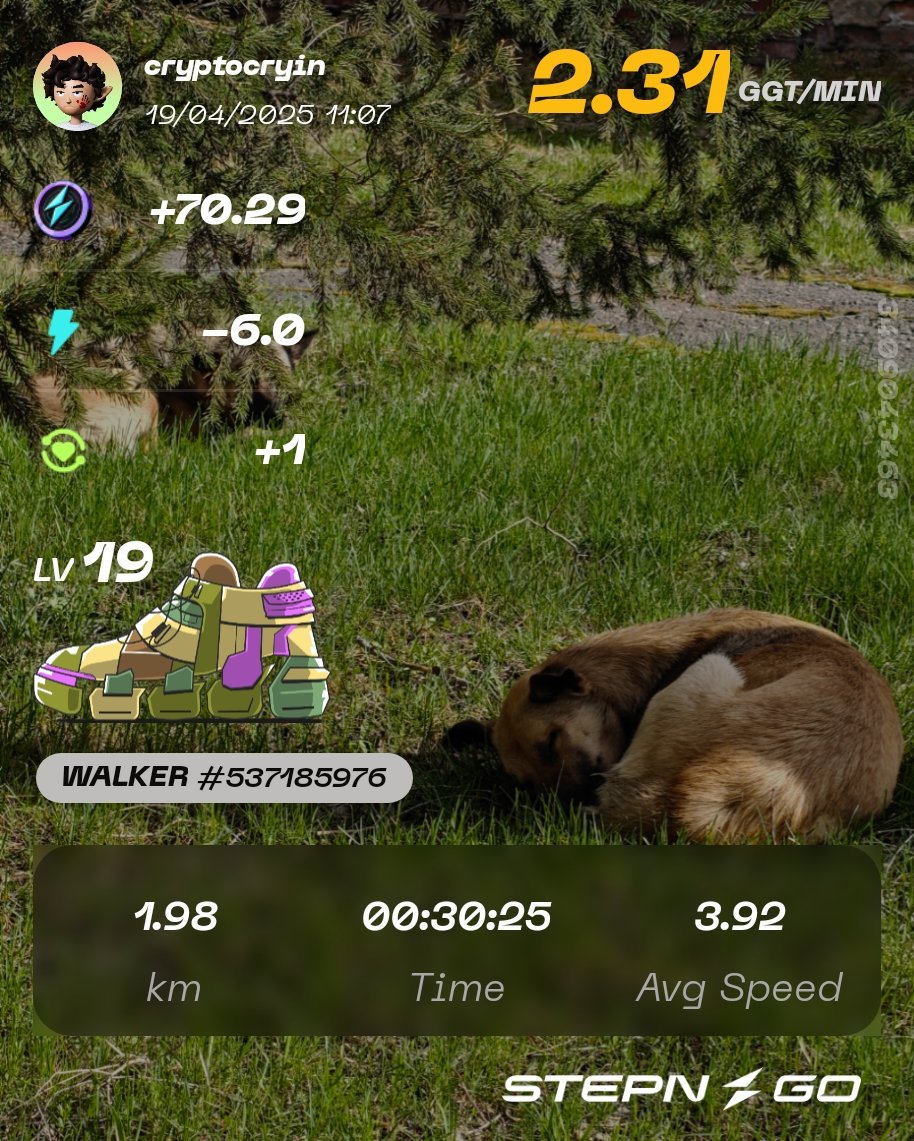 #STEPNGO #STEPN $GMT $GGT