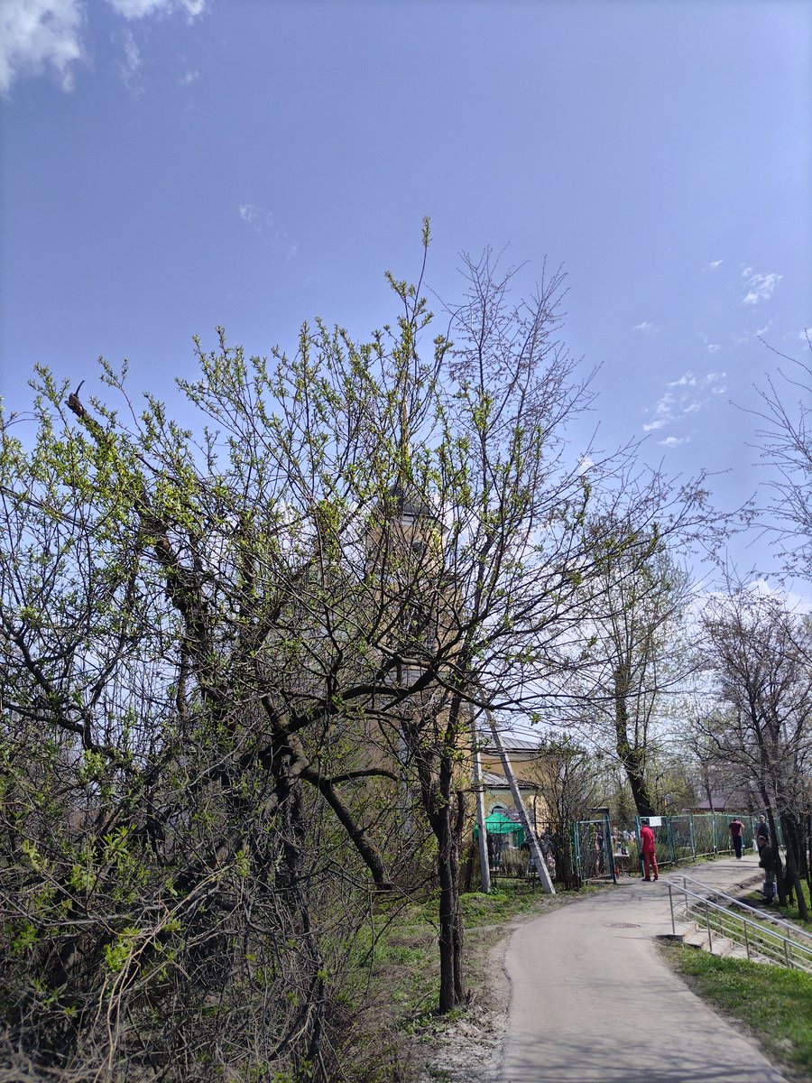 Случилось сегодня добираться из дальних владений моего нанимателя на перекладных. Видел на одной из пересадок народные гуляния по случаю Вяликдня. Хорошо там и церковь красивая.