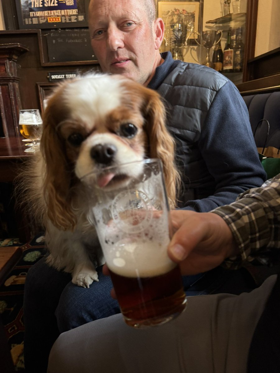 Uncle Carl said “NO!” But I said “oh yes!!! <a href="/harveybones/">Harvey 🩷💙🦴</a>  #rulesareforfools #BWOC #cavpack 😈🍺👊🏻