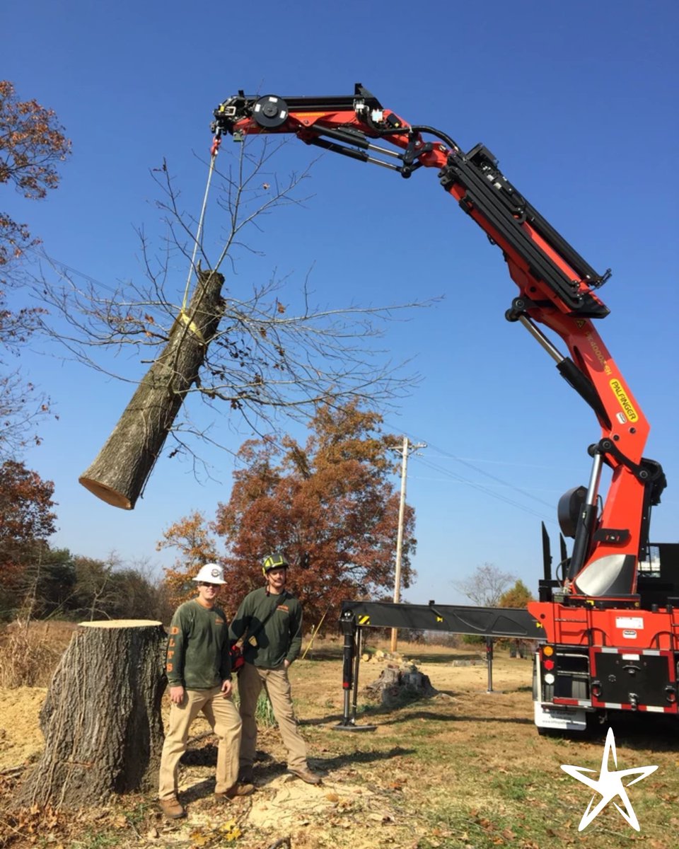 silverstartree's tweet image. 🌲 Big Trees? No Problem!
We’ve got cranes for that! Whether it’s a tall tree in a tight spot or something tricky, we’ve got the right equipment and expertise to get it done safely.

Get Started: silverstartree.com

#CraneTreeService #SafeTreeRemoval #SilverStarTreeService