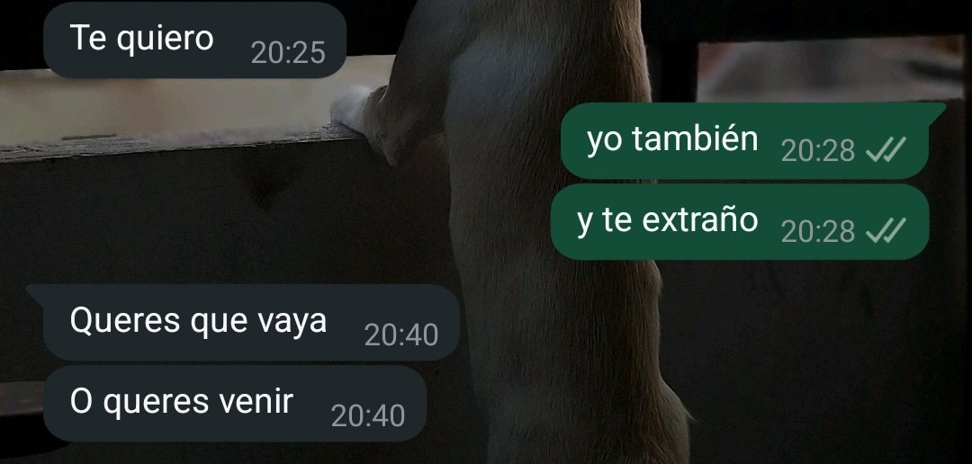 Gime27_'s tweet photo. así fue como a la media hora me paso a buscar para ir a cenar con su familia❤️ https://t.co/K7SIJdOxzC
