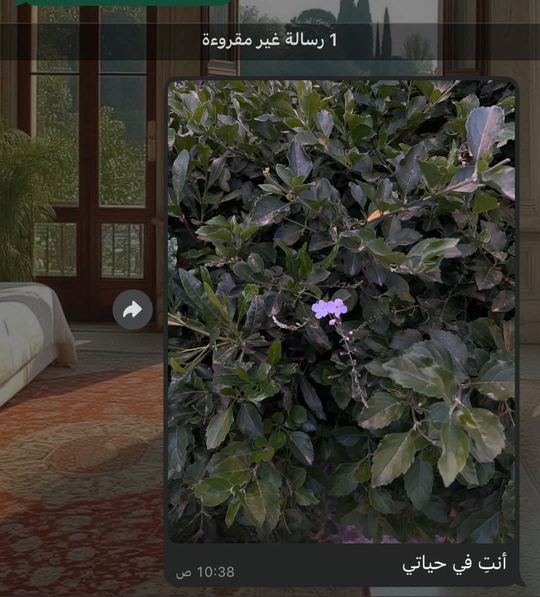 لا أُريد مُجاورة شخص مثالي،
فقط، أُريده حنونًا
وألَّا يُفلت يدي مهما ساءت الأمور♡.