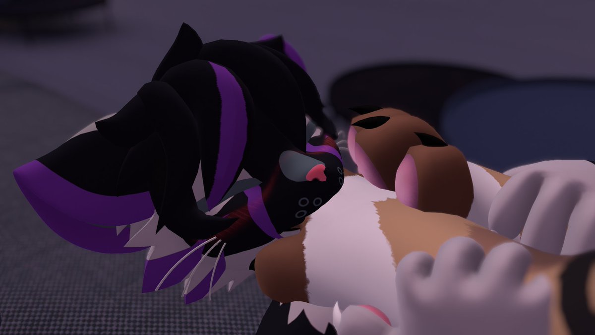 ZukyKitty's tweet photo. The cute @Pawslvt decided to be my personal paw-rest.. Well, let's just say I got really good use out of him c:  I bet you would die to take his place, wouldn't you?~ 

(Repost, because I am stupid) https://t.co/boNAYwOvJm