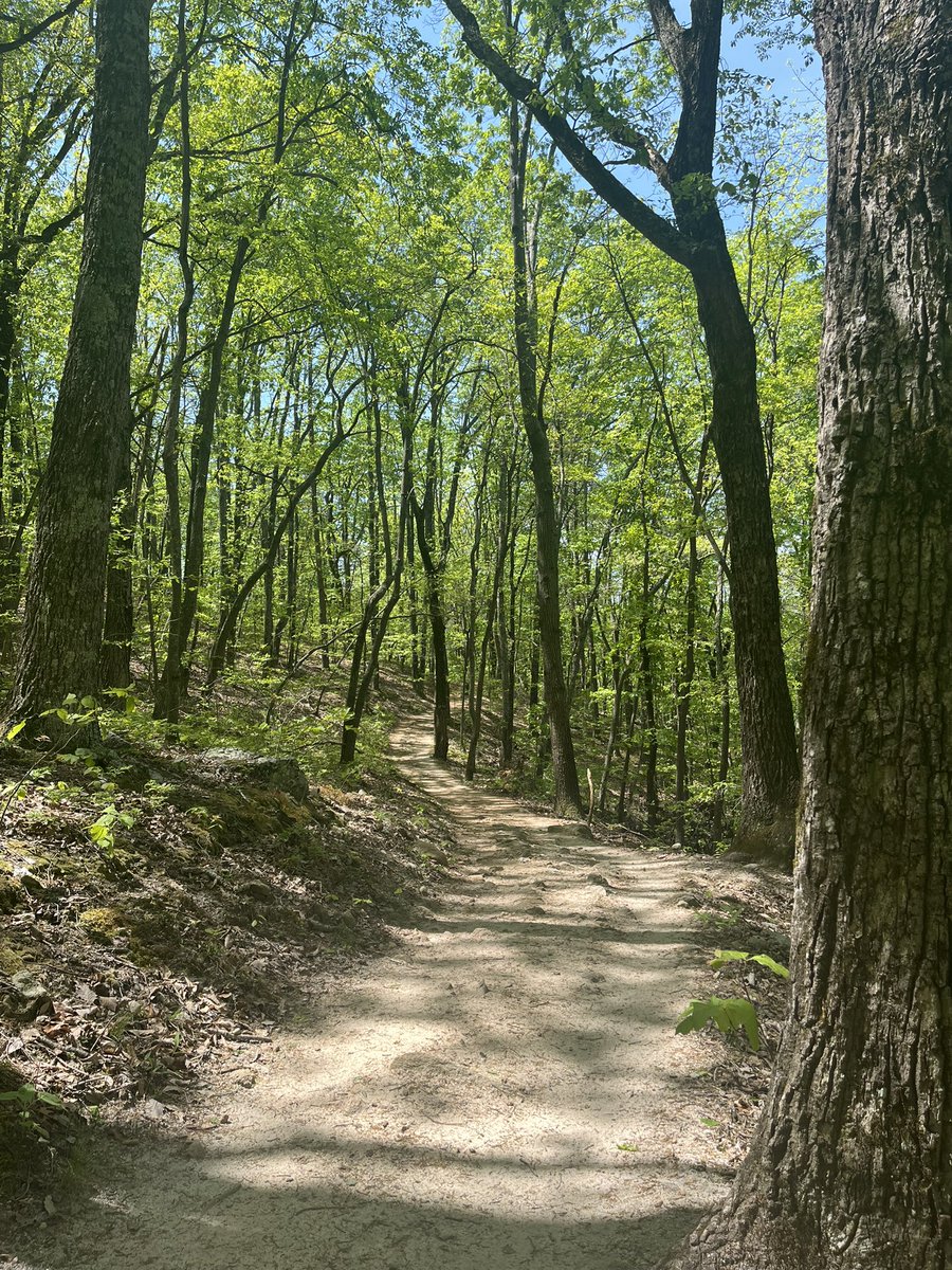atomellis's tweet photo. Nice afternoon hike. https://t.co/F0UDKBTIRS