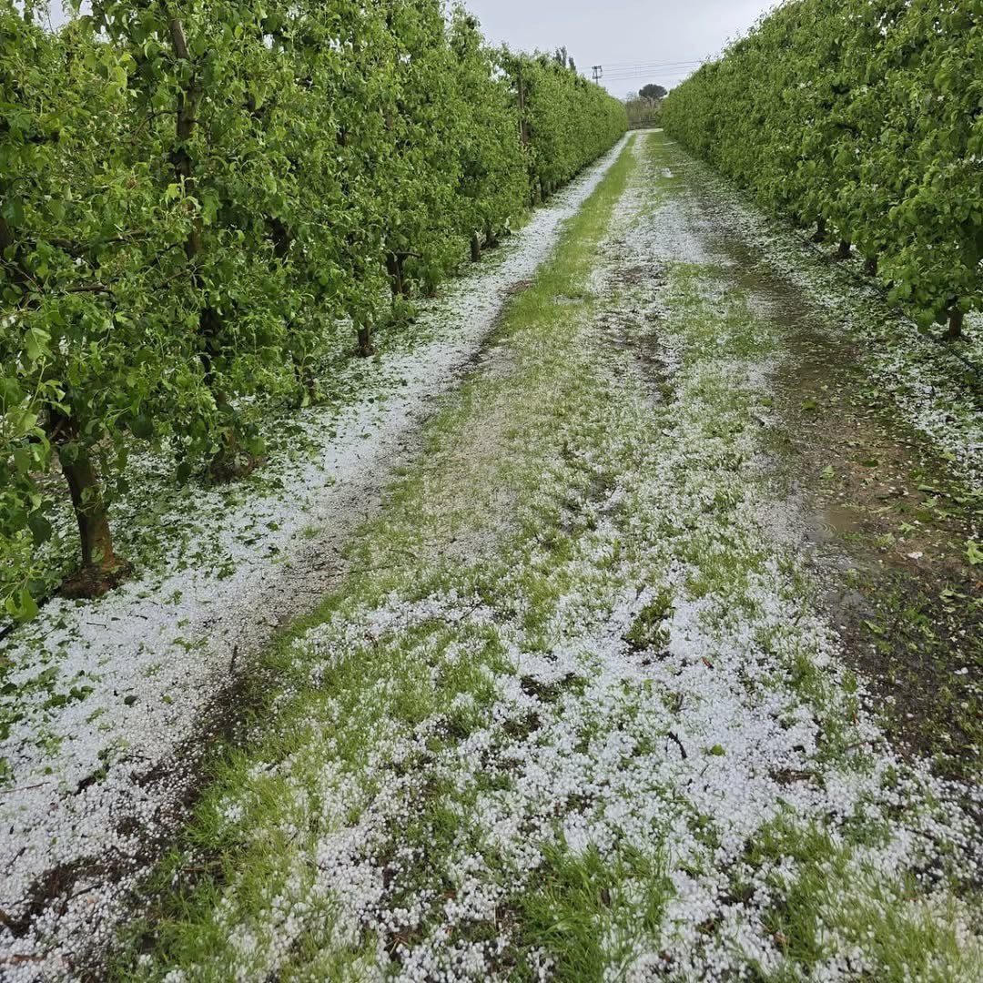 producciointegrada tweet media