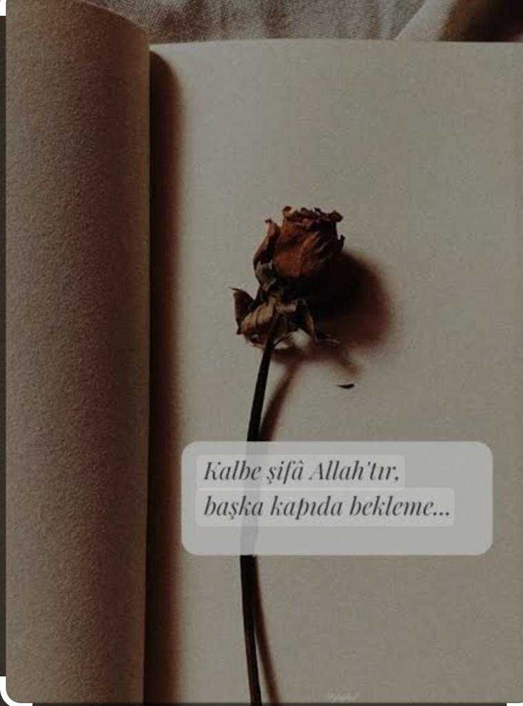 Hüseyin zamur (@huseyinzamur) on Twitter photo 