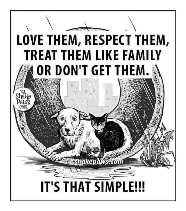 Dog Lovers (@doglovers03) on Twitter photo 