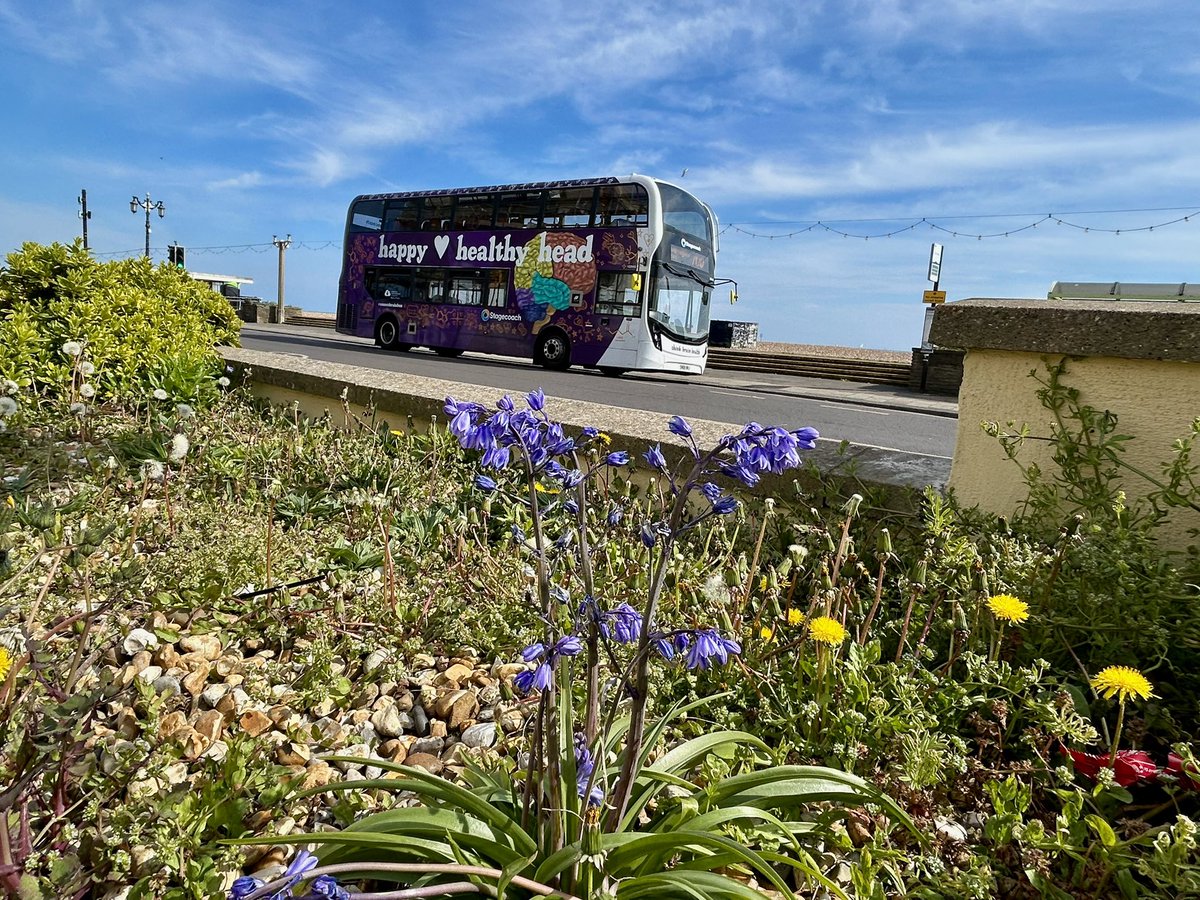 lukehouse313's tweet image. 10945 (SN18 KNJ) Sussex Brain Bus At Worthing Marine Parade On The 700 To Durrington Today @StagecoachSouth