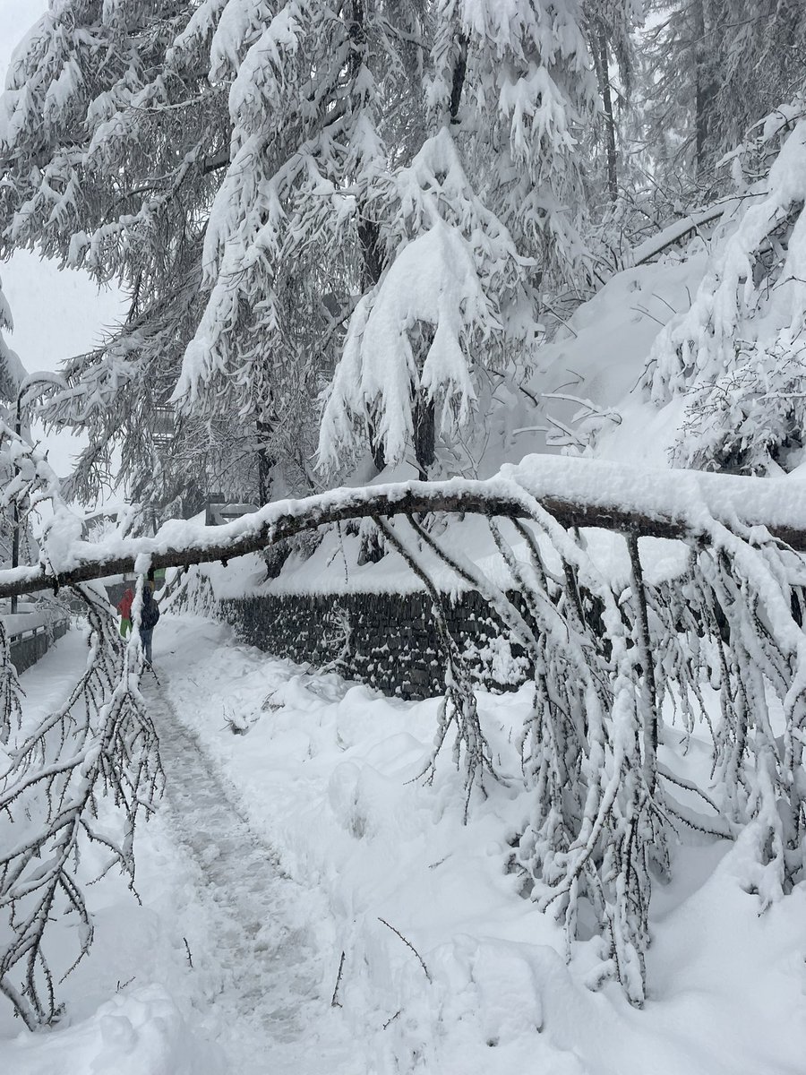 Leof1MaxNation's tweet photo. What it was like to be snowed in in the swiss alps… no electricity and no connection to the outside… nice to be back on the grid🙂‍↕️ https://t.co/nXlcwum4TH