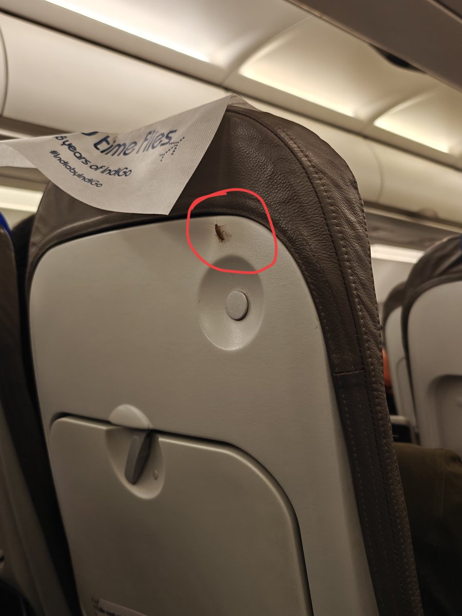 RootMeow's tweet photo. Dear @IndiGo6E ??? 😭 https://t.co/SMJSLHZrMH