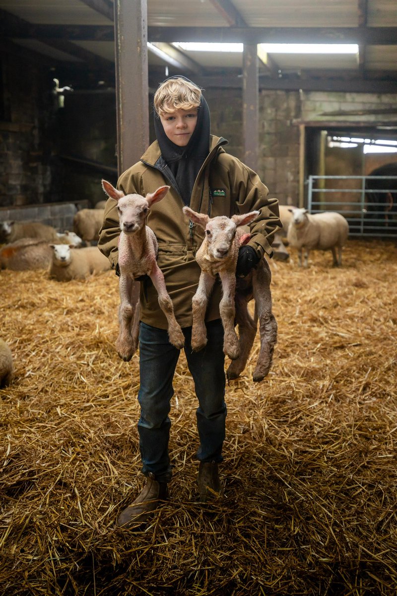 vickylouisef's tweet photo. @SpringvalePS catch Stan on C5 Easter Sunday! Springtime on the farm 🧑‍🌾🐑 https://t.co/HxmTdJSJ45