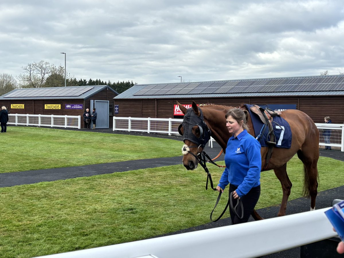 Aimée 🏇🏻 (@aimeegegg) on Twitter photo Can we all just take a moment to appreciate Jess. A long time employee for Daisy Hitchins she is the hardest worker I knew in my time in Horseracing and when racing always turns out horses to the highest standard. She won BTO in multiple races today <a href="/NewtonAbbotRace/">Newton Abbot Races</a> Can we all just take a moment to appreciate Jess. A long time employee for Daisy Hitchins she is the hardest worker I knew in my time in Horseracing and when racing always turns out horses to the highest standard. She won BTO in multiple races today <a href="/NewtonAbbotRace/">Newton Abbot Races</a>