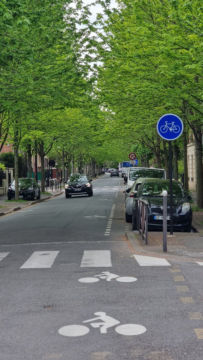 Le concept de piste cyclable obligatoire n’a manifestement pas été correctement assimililé par les aménageurs Vitry-sur-Seine 😂🤣