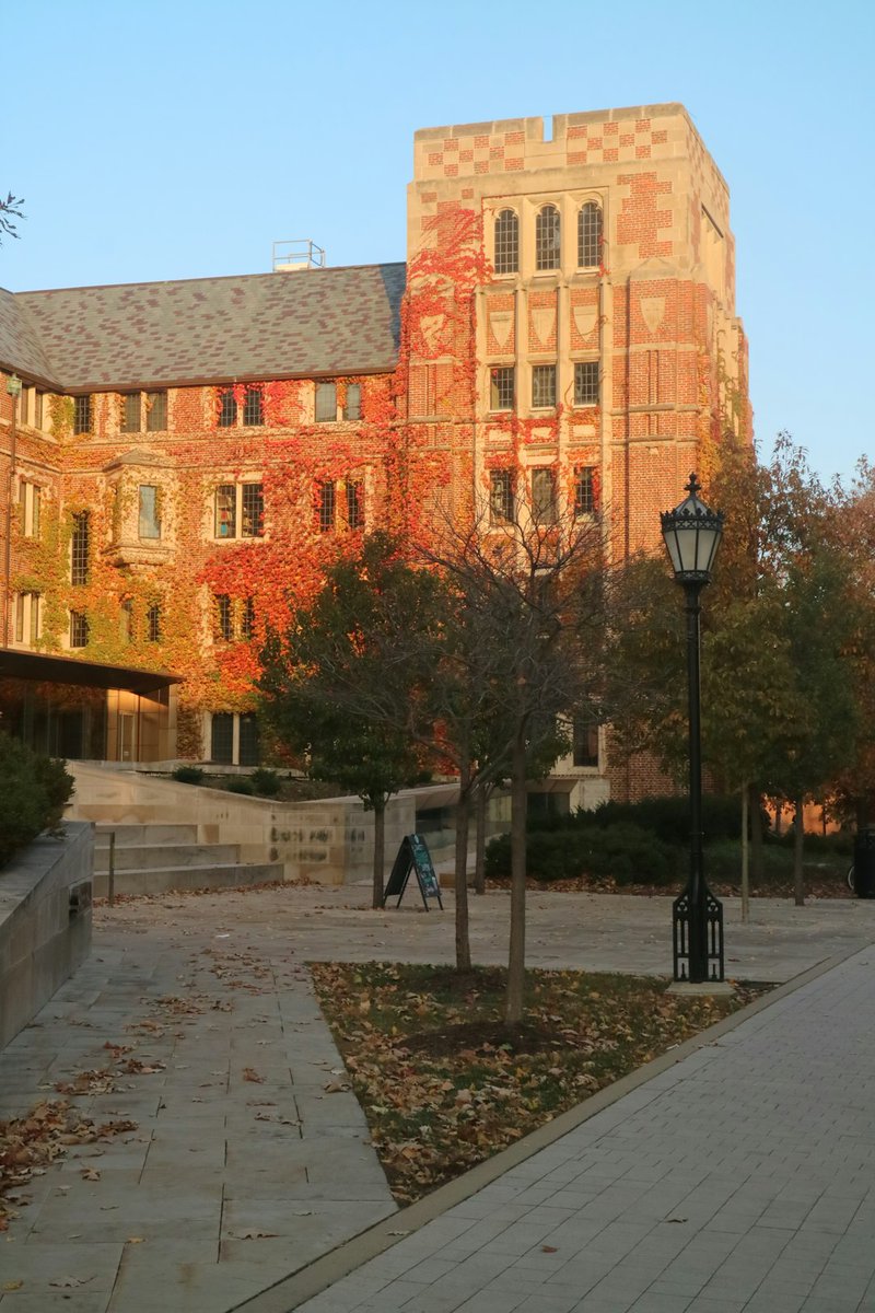 raemacadam37208's tweet image. Cramming like crazy for my Chinese Literature exam tomorrow!  Hoping all this hard work pays off and I ace it! #UniversityofChicago   #ChineseLit

#ChineseLiterature #UniversityofChicago #StudyHard #exams