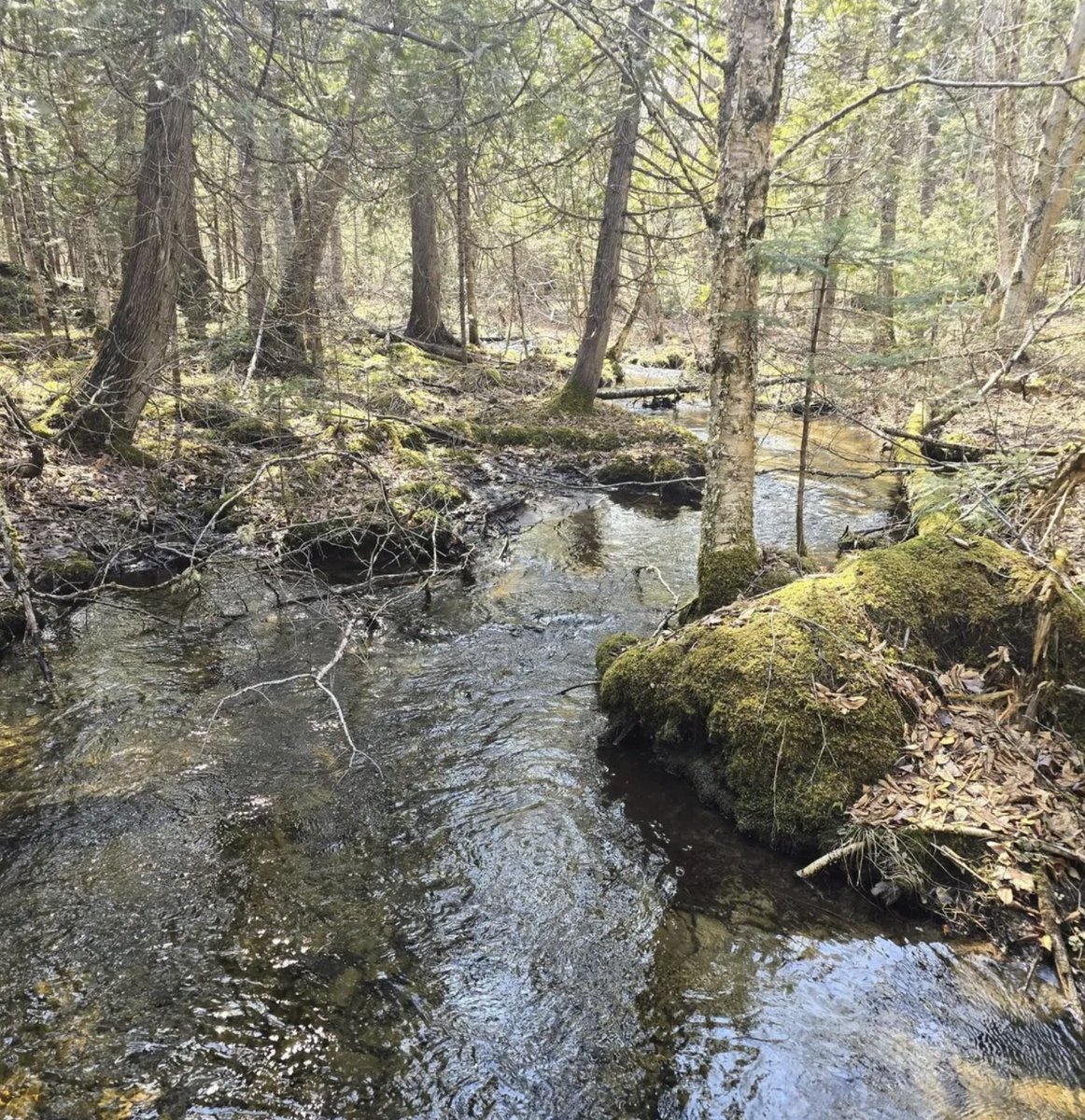 oldhouseunder50's tweet image. oldhousesunder100k.com/multi-dwelling…

Not old, but interesting - Two off-grid #cabins in #Maine sit on 15 peaceful acres along a year-round road, bordered by a small brook. $85K.
