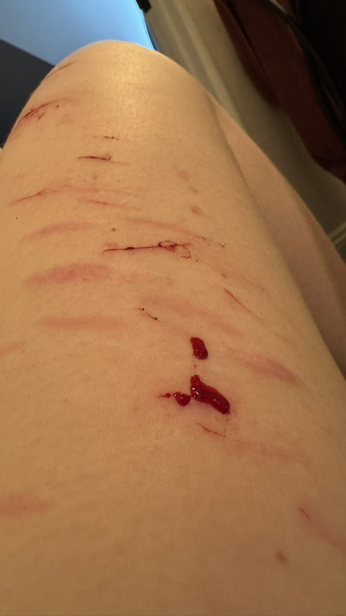 spoooook tweet media