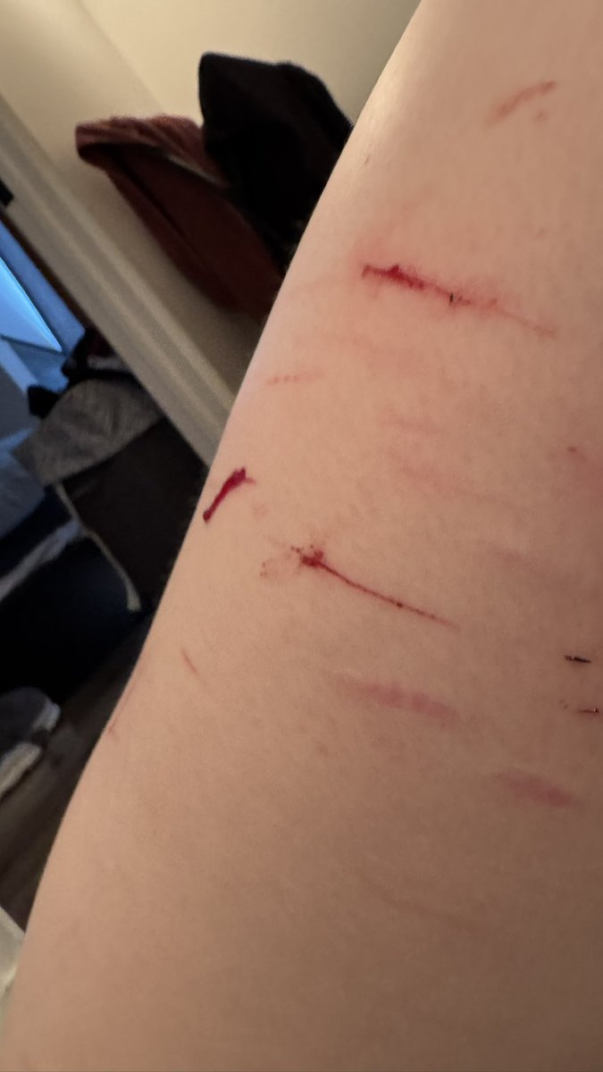 spoooook tweet media