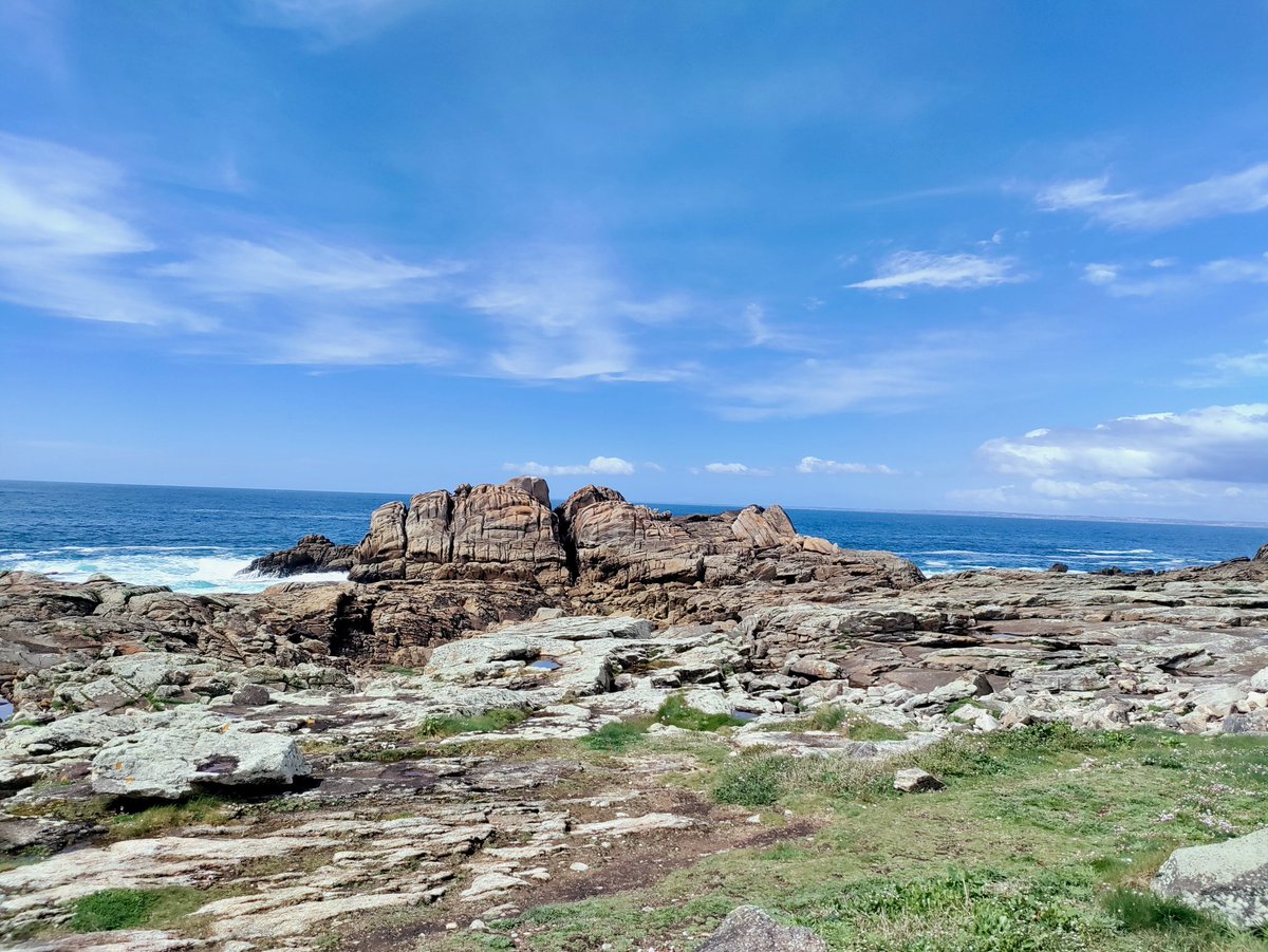 Brigitte Le Cam tweet media