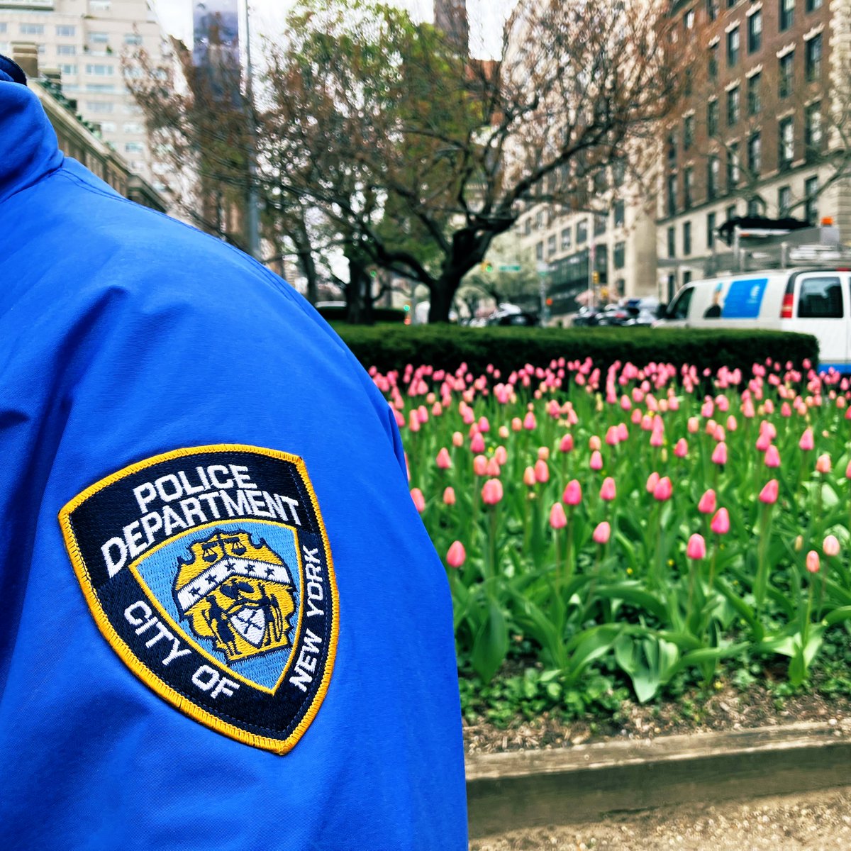 Dah-ling 
I love you 
but give me Park Avenue!