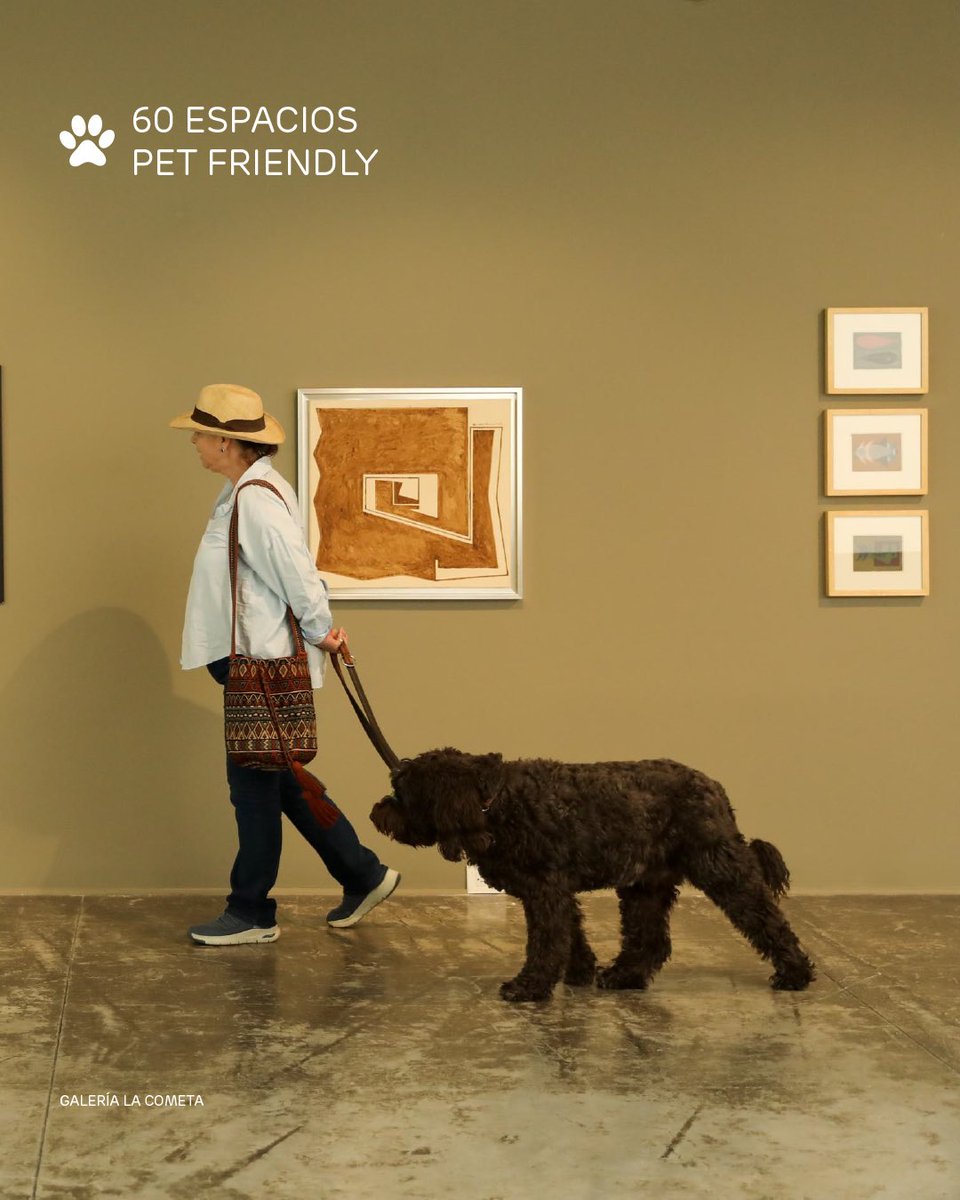 programaARTBO's tweet photo. ¡ARTBO | Fin de Semana se vive mejor en compañía!

Conoce los 60 espacios Pet Friendly que hacen parte de nuestros circuitos artísticos y planea tu visita junto a tu mejor amigo de cuatro patas.

¡Te esperamos del 25 al 27 de abril en #ARTBOfds! https://t.co/ZFpZa7QWVT
