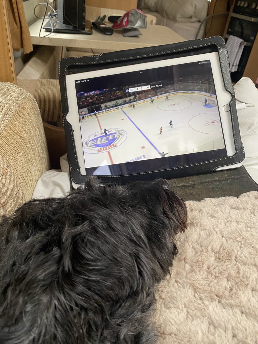 claire 💙 tweet media