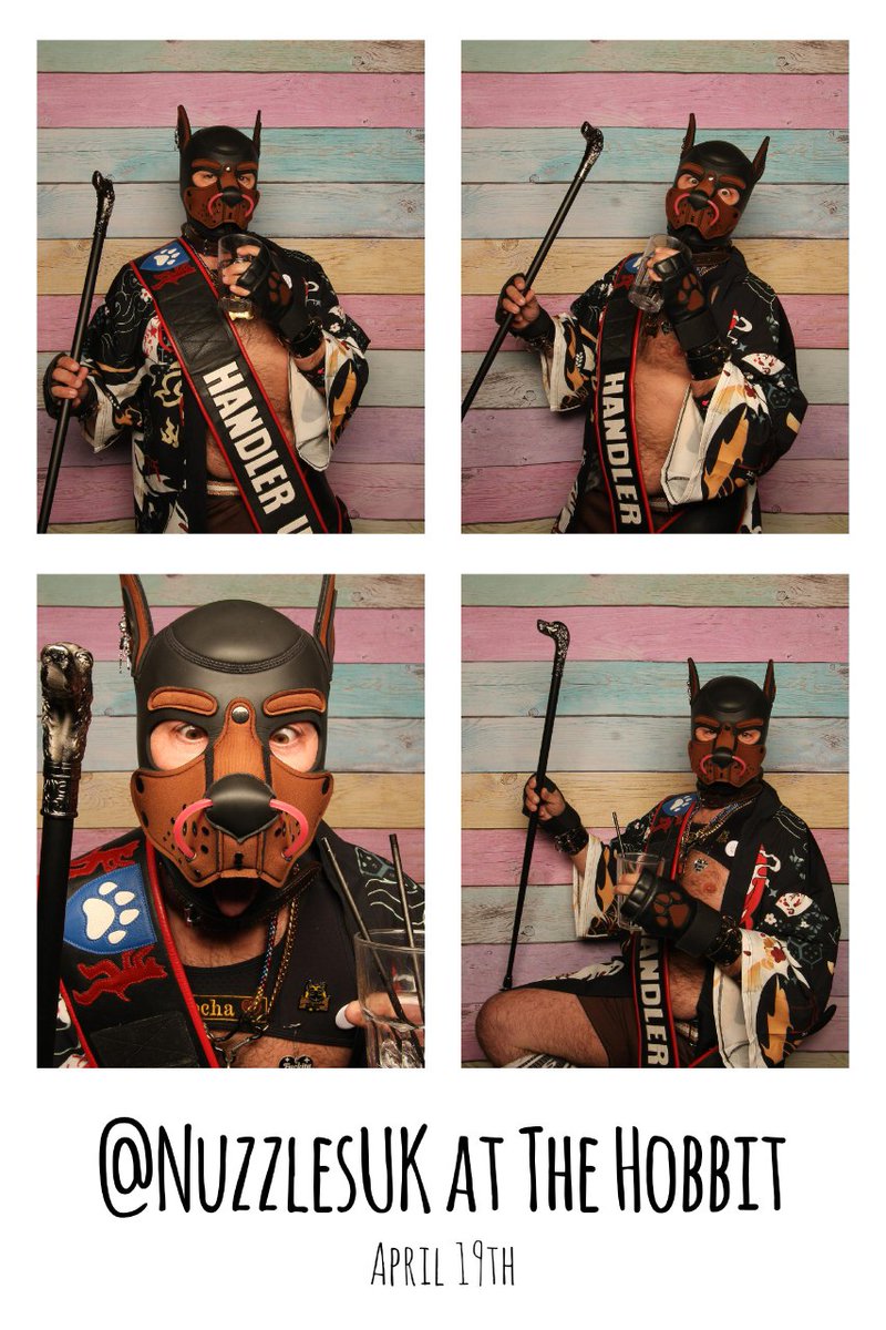 PupMochaLondon's tweet photo. #nuzzles in Southampton is a brilliant pup meet - well worth going to. But also, it has a really great photobooth ๐ https://t.co/EcCAzmG4B0