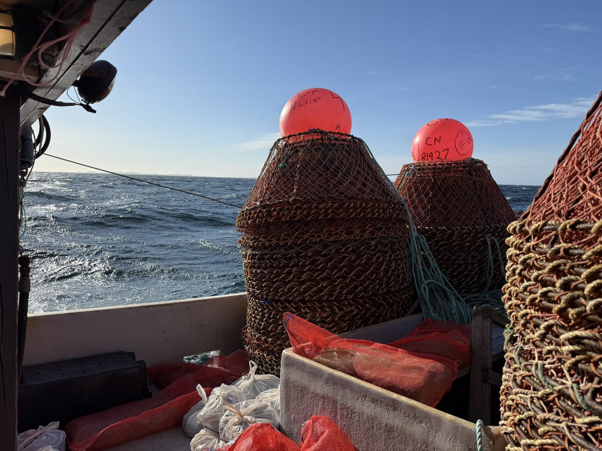 Looking forward to tasting the first snow crab of this season 🦀