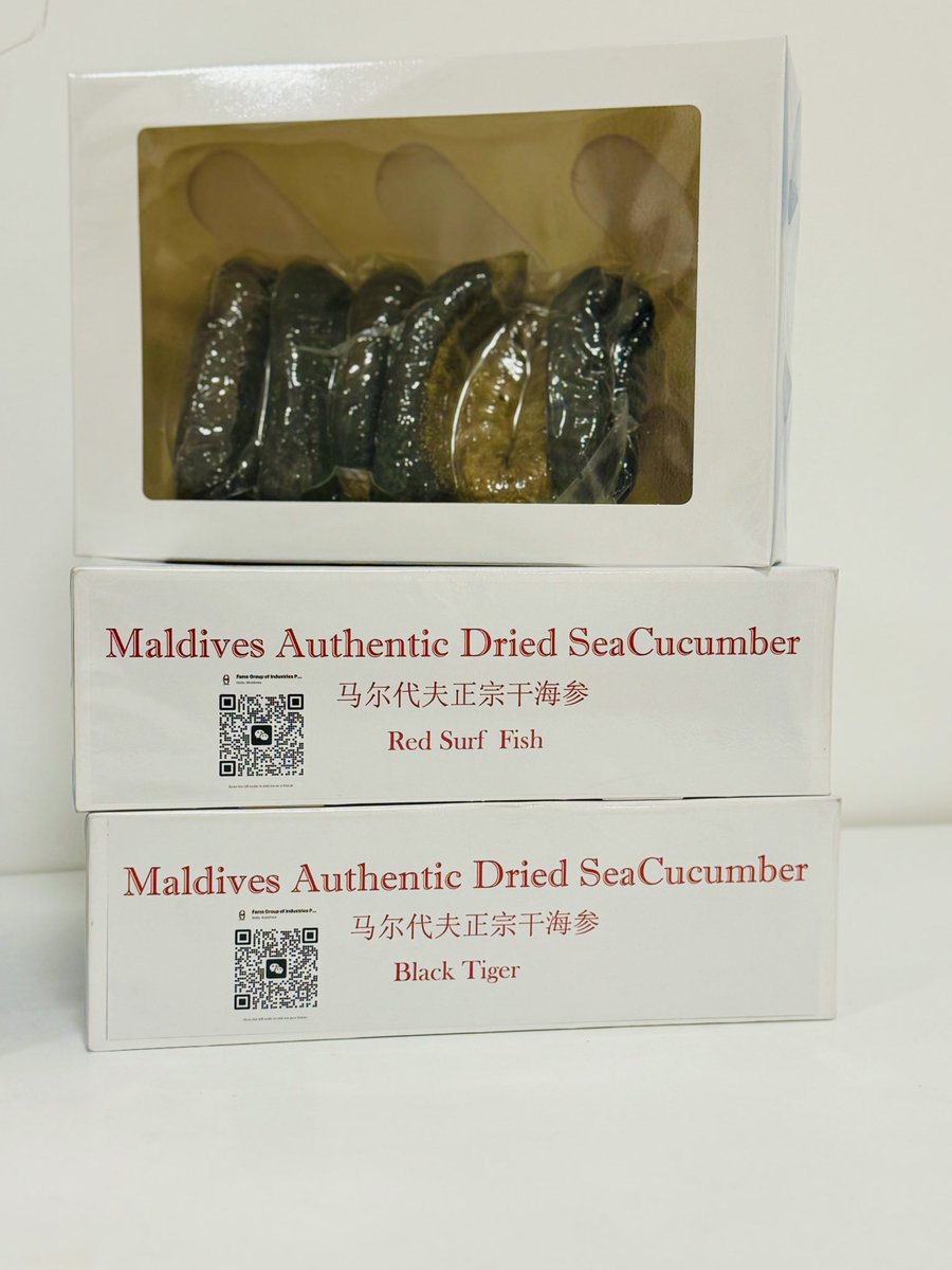 fams_group's tweet photo. FAMS GROUP has been supplying duty-free dried sea cucumbers since 2021. Now with our new factory in Raa Atoll Dhuvaafaru, we’re expanding production and seeking trusted global buyers. Premium quality, ready to ship. 

#SeaCucumber #FamsGroup #MaldivesExport #GlobalTrade https://t.co/Ii1lHVXpa4
