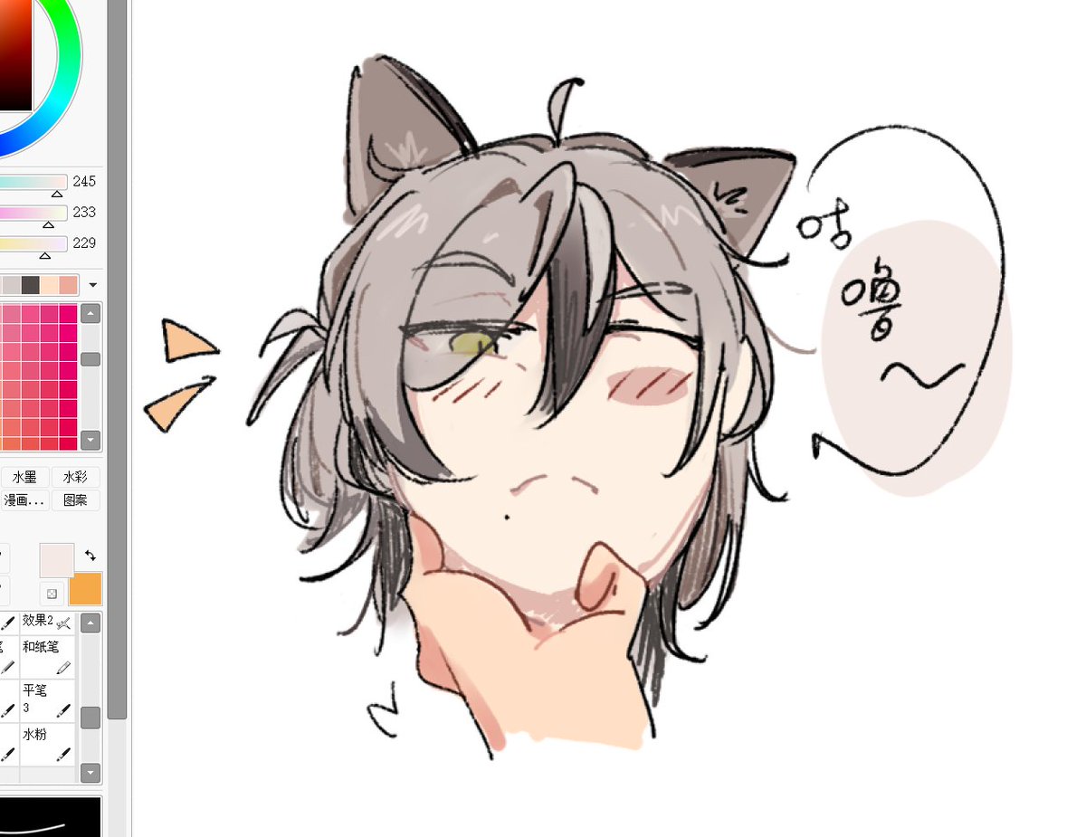 🐈