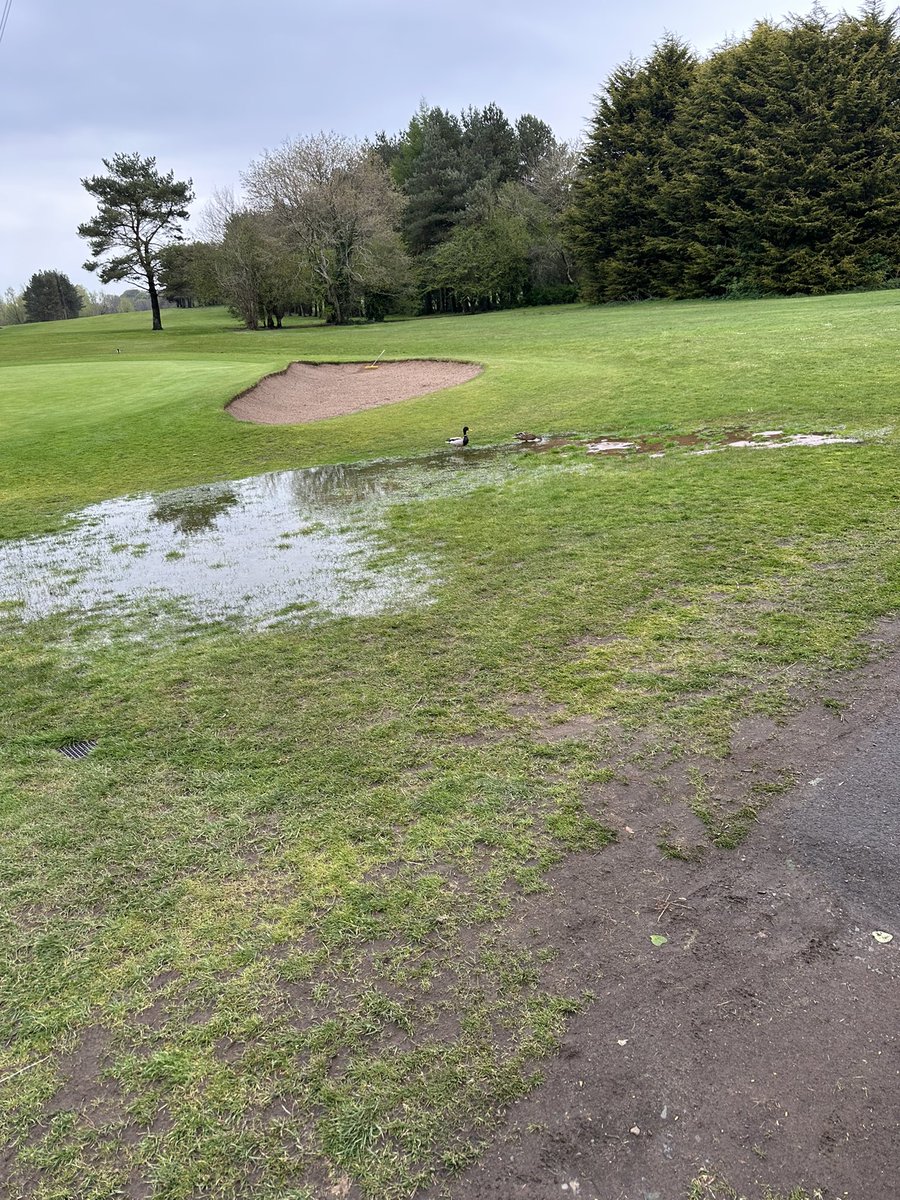 Quack quack 🏌️‍♀️