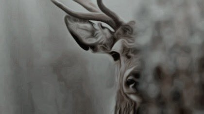 𝐉𝐚𝐦𝐞𝐬 𝐏𝐨𝐭𝐭𝐞𝐫. (@corazonaureo) on Twitter photo 