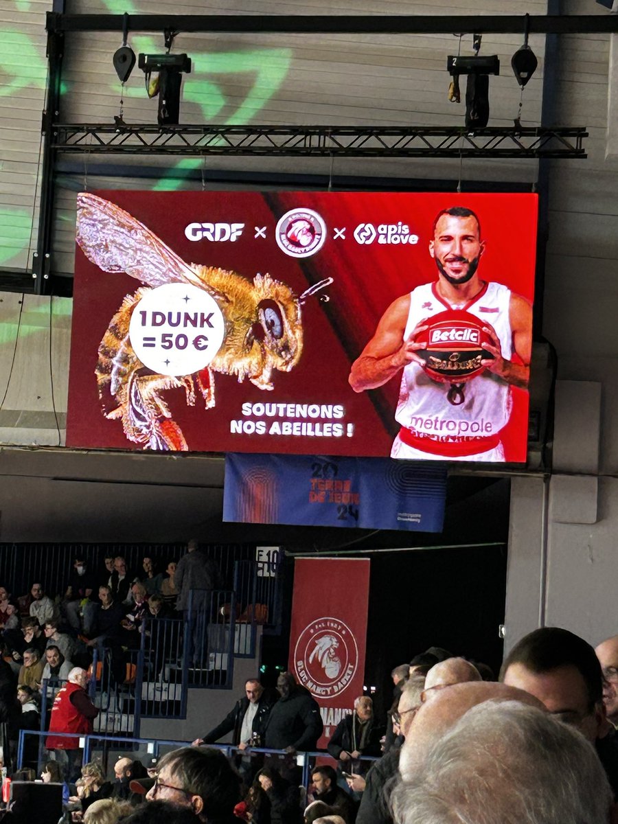 Déjà 1500 € collectés pour les  🐝. Alors ce soir face au <a href="/ESSMbasket/">ESSM Le Portel</a> V ou D pour le <a href="/SLUCbasketNancy/">SLUC Nancy Basket</a> ? Et, combien de dunks pour les abeilles ? À vos pronostics ! <a href="/ApisAndLove/">Apis & Love</a> <a href="/GRDF/">GRDF</a>