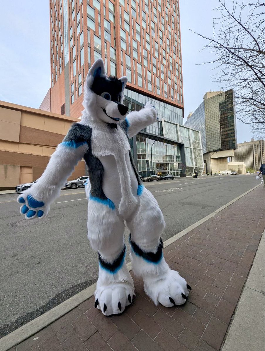 thedoggodex's tweet image. Hope everyone is having a great time at #anthrohio2025