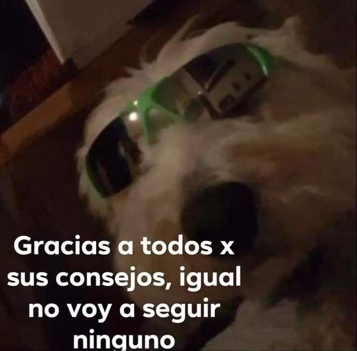 cornulda (@cornulda) on Twitter photo 