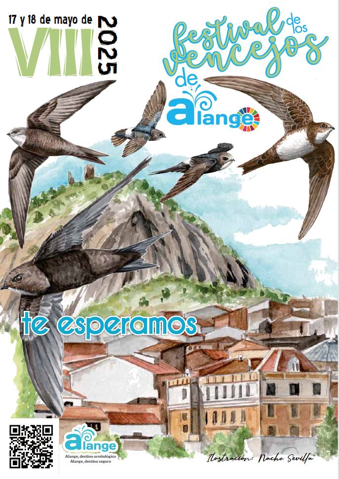 Del 16 al 18 de mayo se celebra la VIII edición del Festival de Los Vencejos en #Alange (#Badajoz), una ocasión para conocer mejor estas aves tan vinculadas a nuestros pueblos y ciudades a través de talleres, rutas ornitológicas o interesantes charlas visitaalange.es/es/noticia/vii…