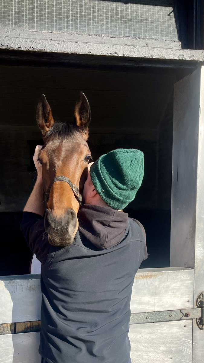 Our new &amp; beautiful filly, Ephyra 💖  #lovetheracehorse