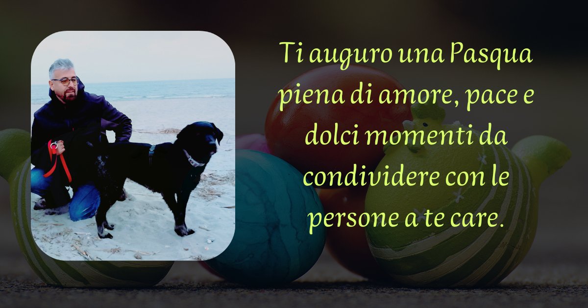 giodogsitter's tweet photo. Buona Pasqua! 📷
#pasqua #pasquetta #giodogsitter #pensiobepercani #asilopercani #tecnicocinofilo #gorlamaggiore https://t.co/q4UexBlHs9