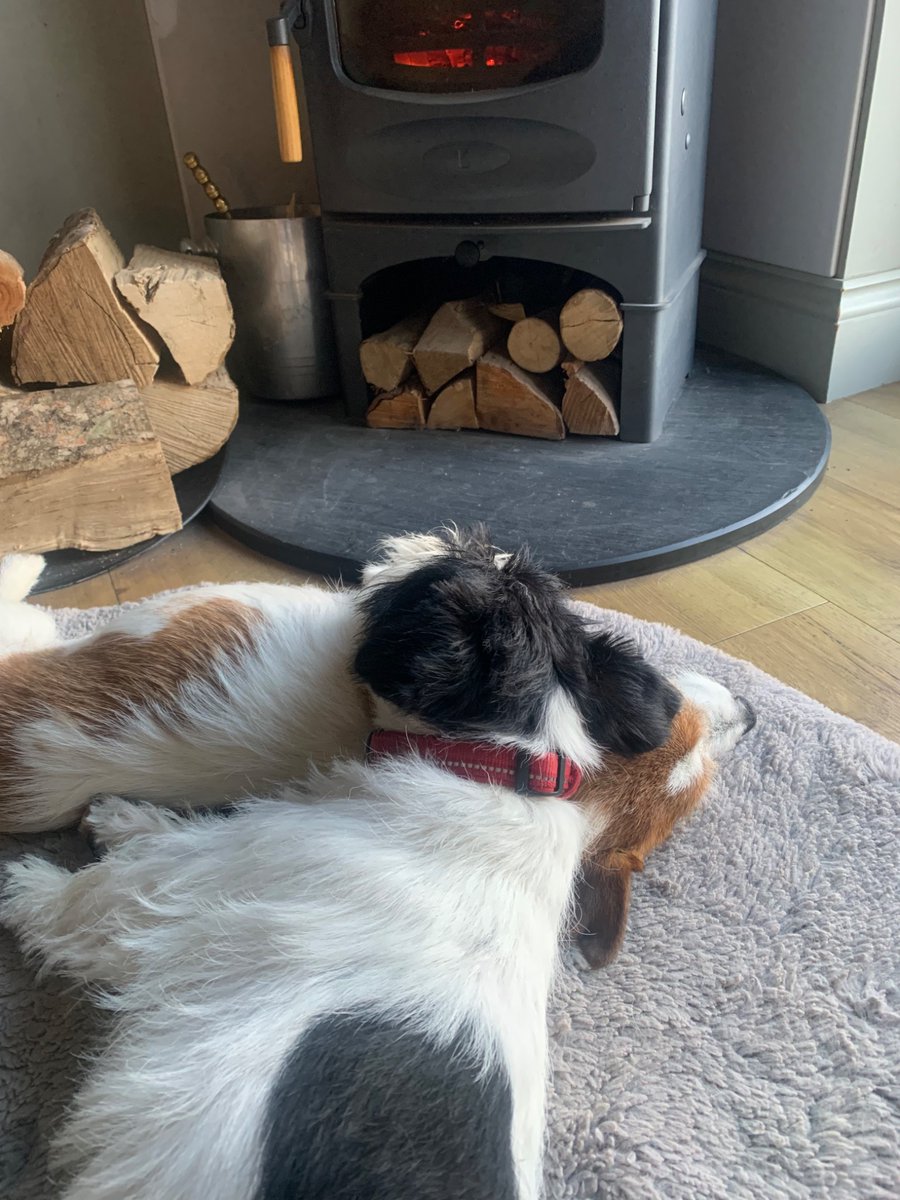 Helena West 🇺🇦 🌻 tweet media