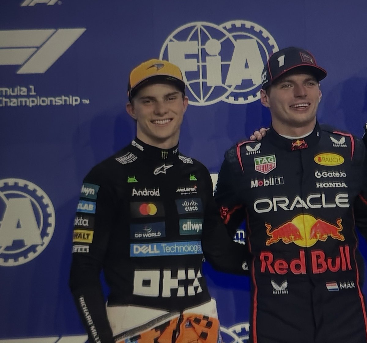 my cats! everyone look at my cats!!