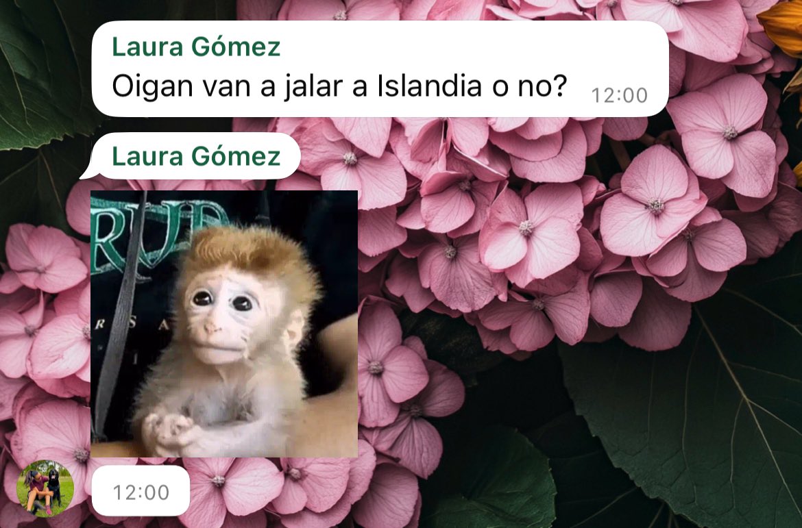 Mayegii_'s tweet photo. Regresamos de viaje y mi prima inmediatamente: https://t.co/16hVpKeTlf