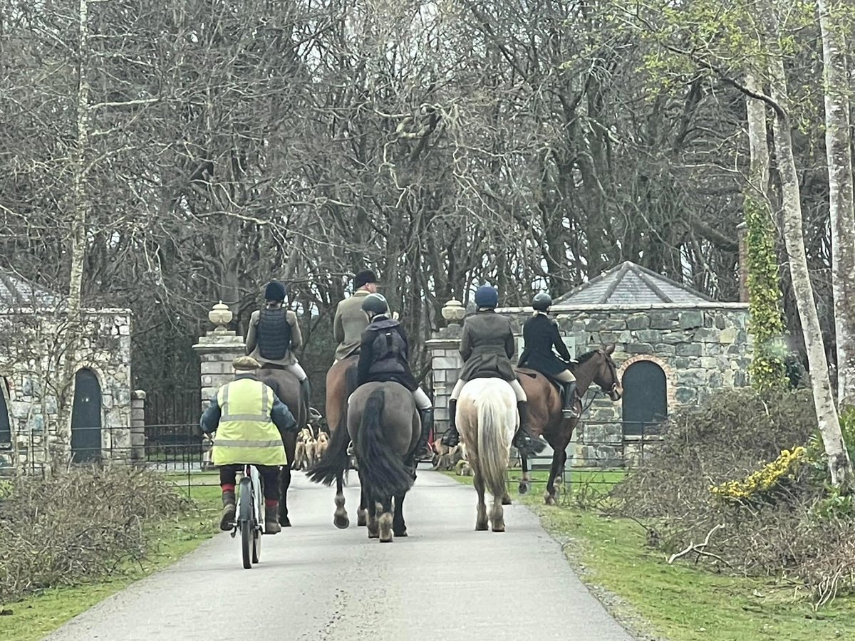 watch_western's tweet photo. CURY HUNT: TRELOWARREN ESTATE 30/3/25 &amp; TUCOYSE FARM NR GWEEK 5/4/25
Sorry for the delay in our final report for 24-25. We’ve been having a bit of downtime and getting a bath, seven months of hanging around the hunt sorts does take its toll. Then it comes around fast again. https://t.co/KgoTcJ3Jgn