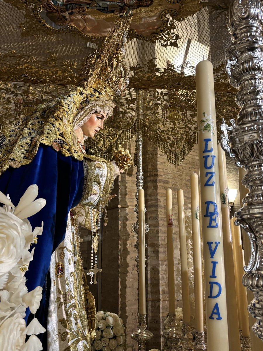 Al igual que en años anteriores, en la candelería del palio de Nuestra Señora de la Aurora vuelve a figurar un cirio dedicado a los donantes de órganos con la leyenda "Luz de vida". Este año ha sido pintado por N.H.Dña. Marta Ruda Ortiz.
<a href="/DrPerezBernal/">José Pérez Bernal</a>