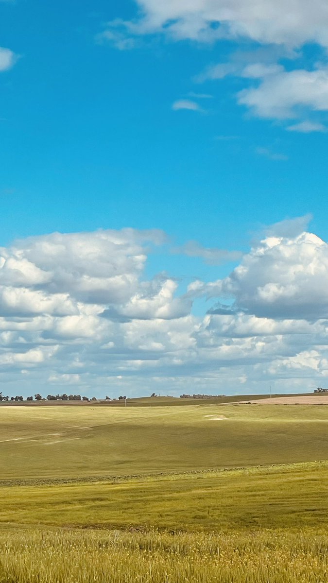 algojea's tweet photo. Fields, water, sky.
#Spring #HolyWeek #QuietLandscapes https://t.co/v0qM2xNW3u