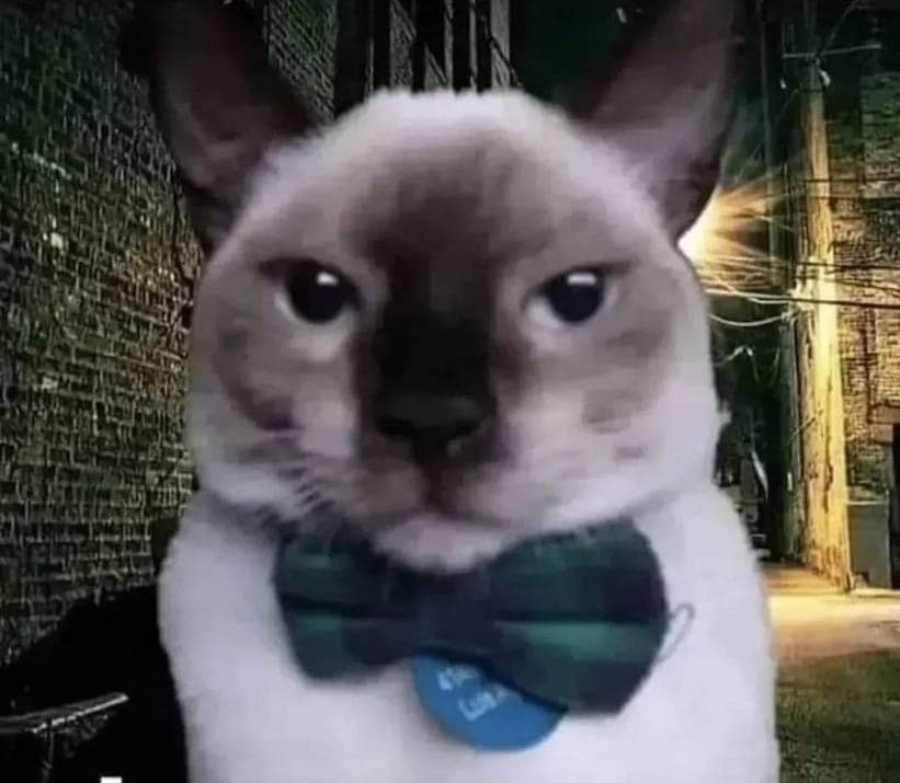 ⠀⠀
⠀⠀ “ no quiero ser esa persona, pero como me van a aplicar los protocolos a mi. A MI. ” # nv
⠀