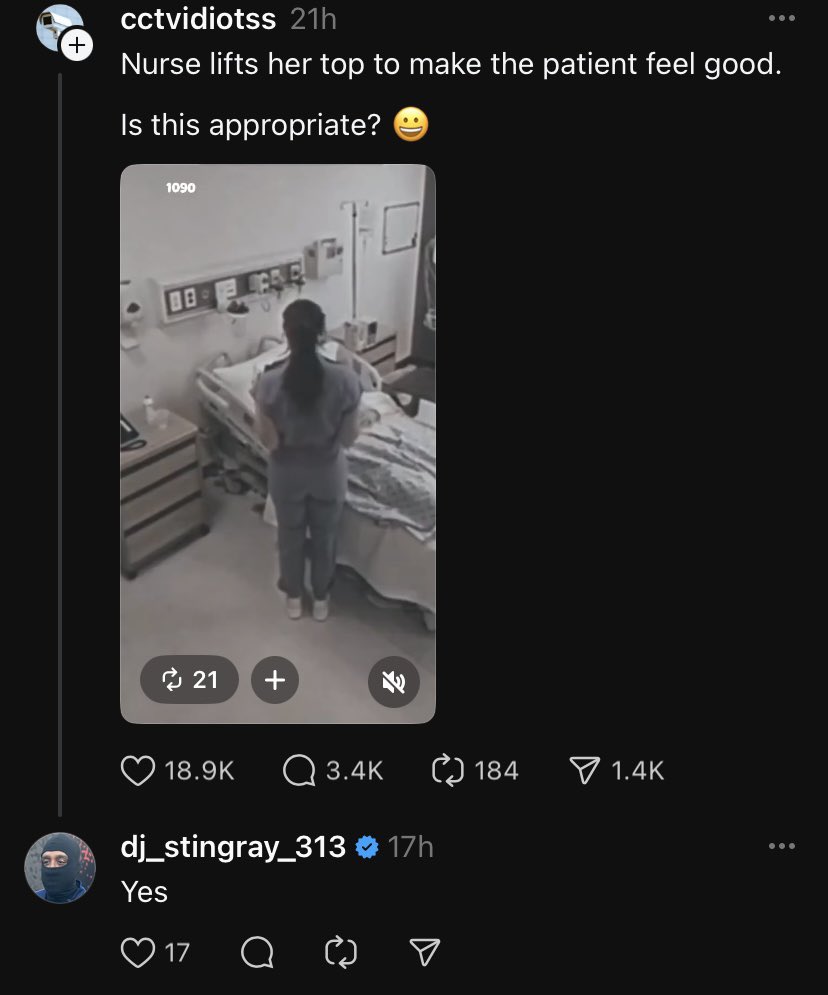 𓀐𓂸[ 𝖘𝖈𝖗𝖊𝖊𝖈𝖍𝖎𝖓𝖌 ]𓀐𓂸 (@freebasecatnip) on Twitter photo 