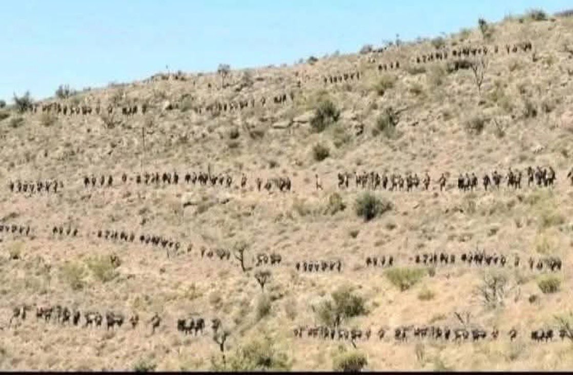 PuntlandFirstHQ's tweet image. #Puntland’s Iron wall - Thank you to our PDF (Puntland Defense Forces)